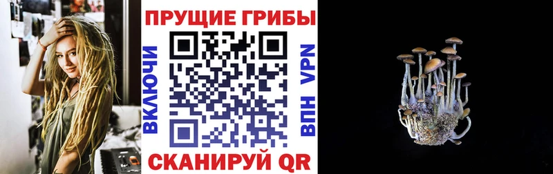 Псилоцибиновые грибы MAGIC MUSHROOMS  shop формула  Сочи 